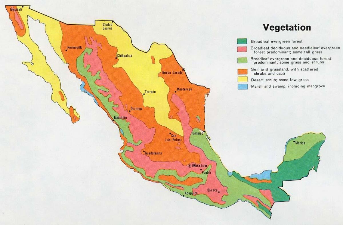 карта Мексики натуральний ресурси