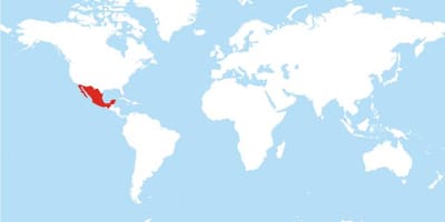 Карта Мексики глобальної